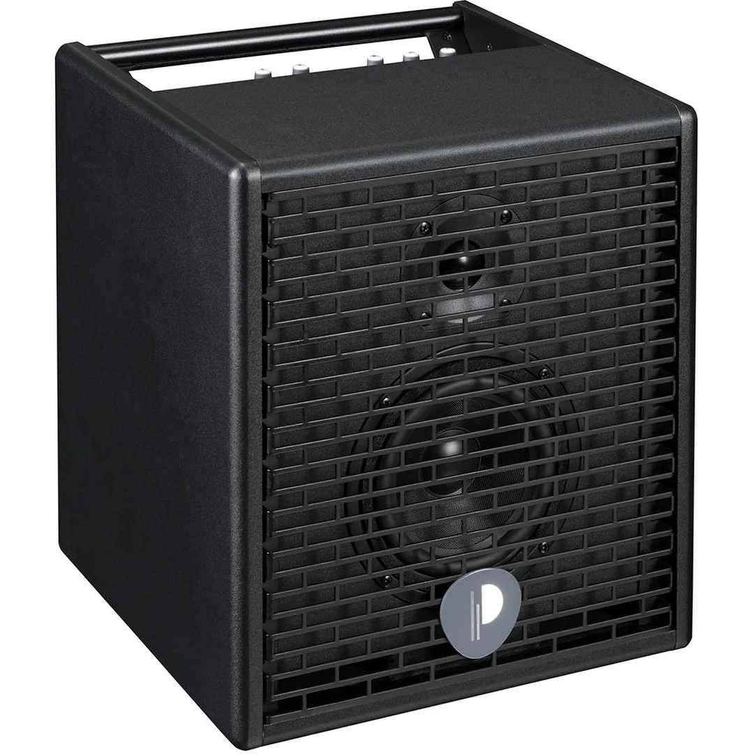 Комбоусилитель Prodipe Natural 5