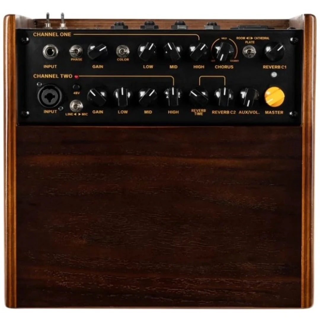 Комбоусилитель Ortega CONE-WND C One