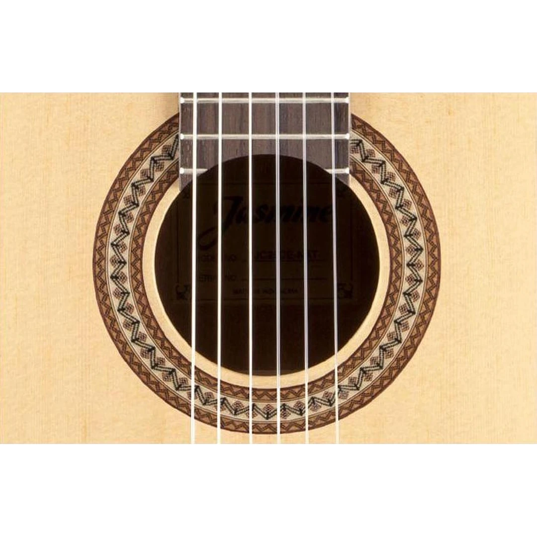 Классическая гитара Jasmine JC25