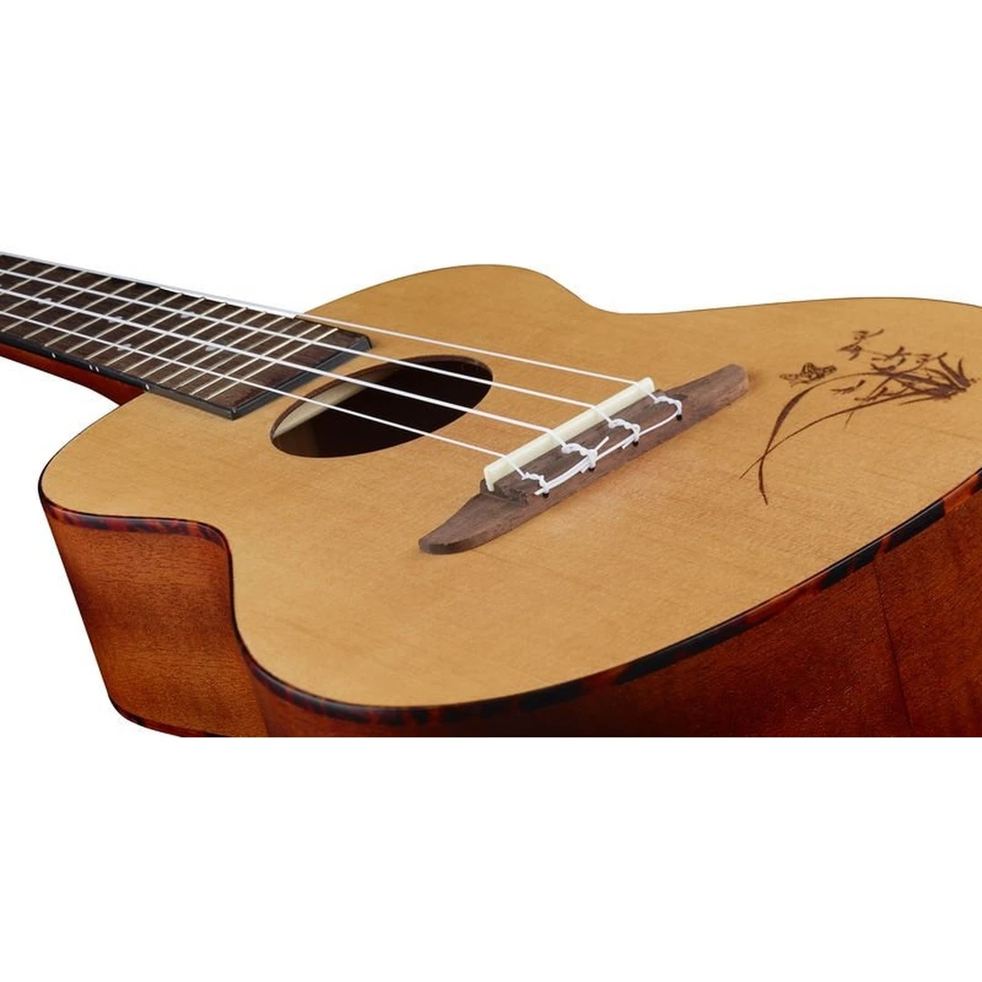 Укулеле Ortega RU5