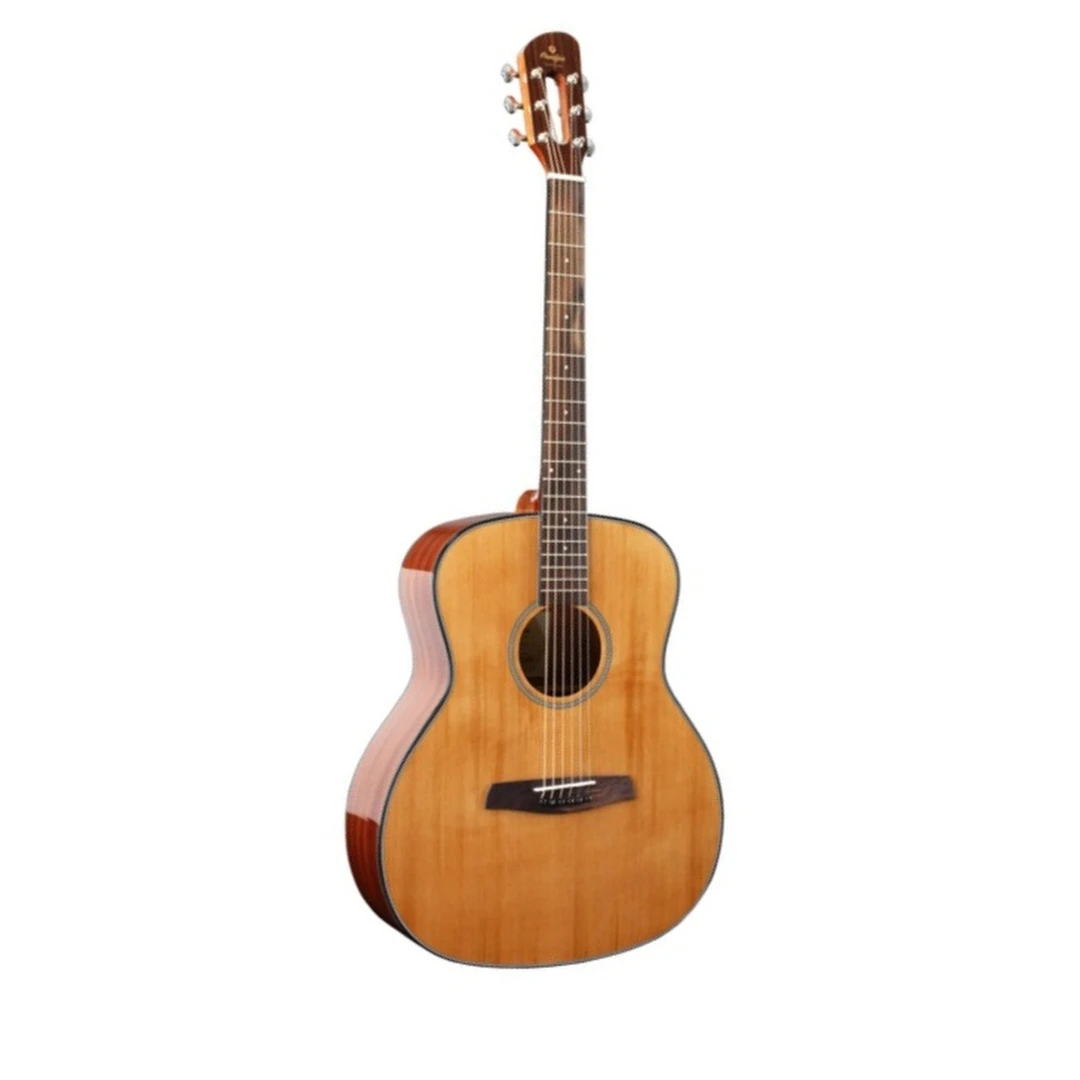 Акустическая гитара Prodipe SGA200