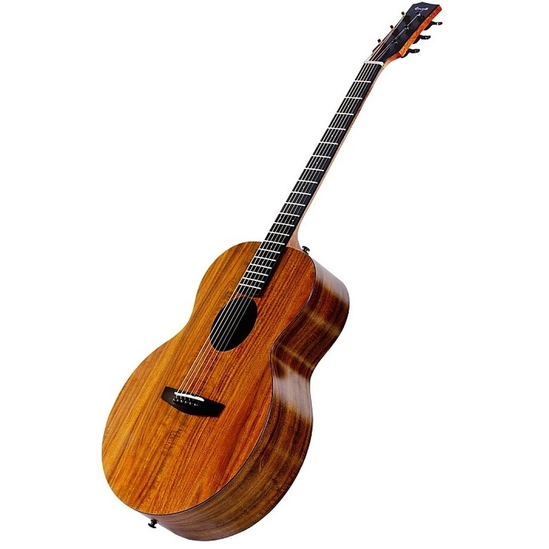 Акустическая гитара Enya EA-X1+