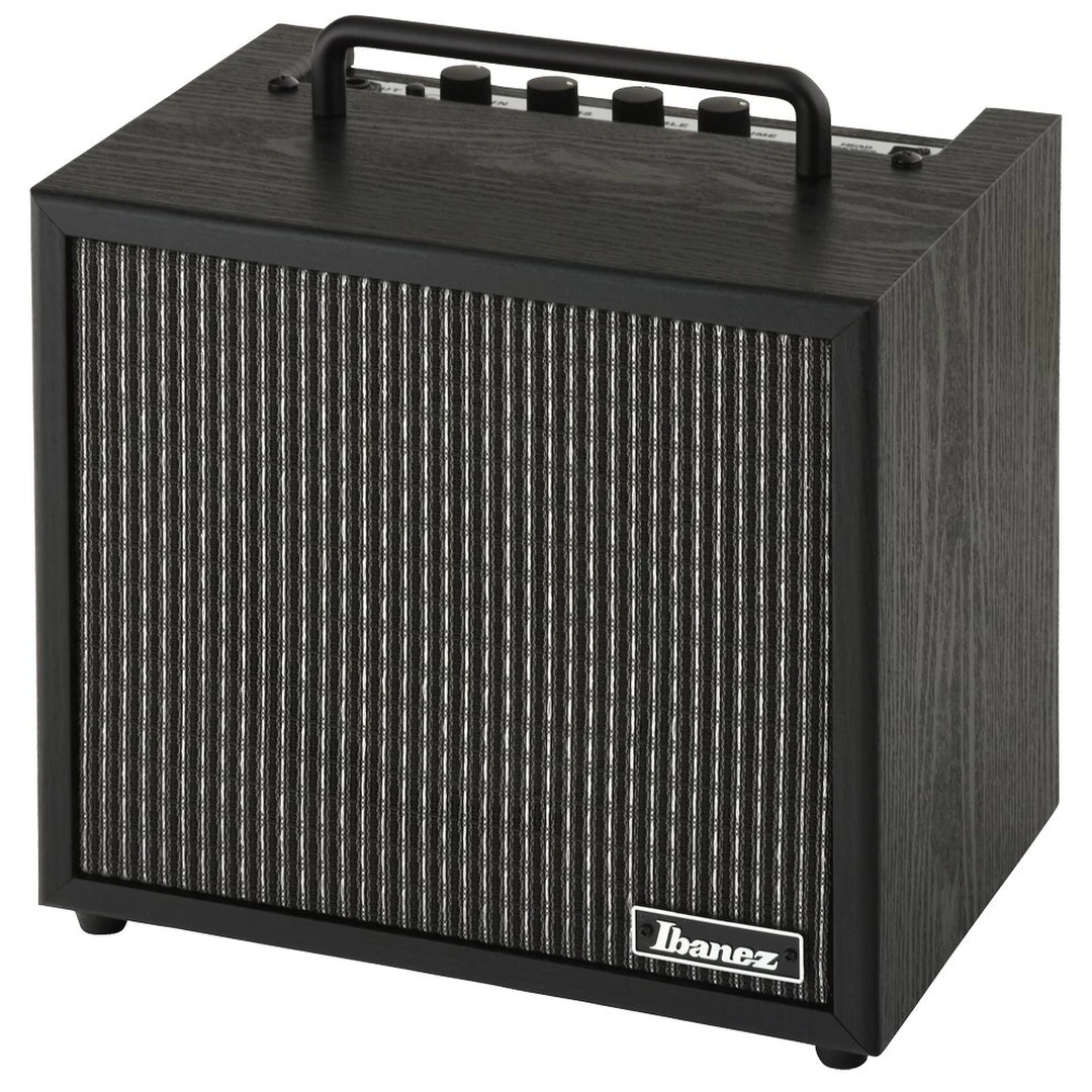 Комбоусилитель Ibanez IBZ10GV2