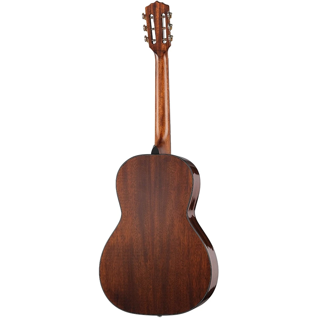 Акустическая гитара Shadow P-M