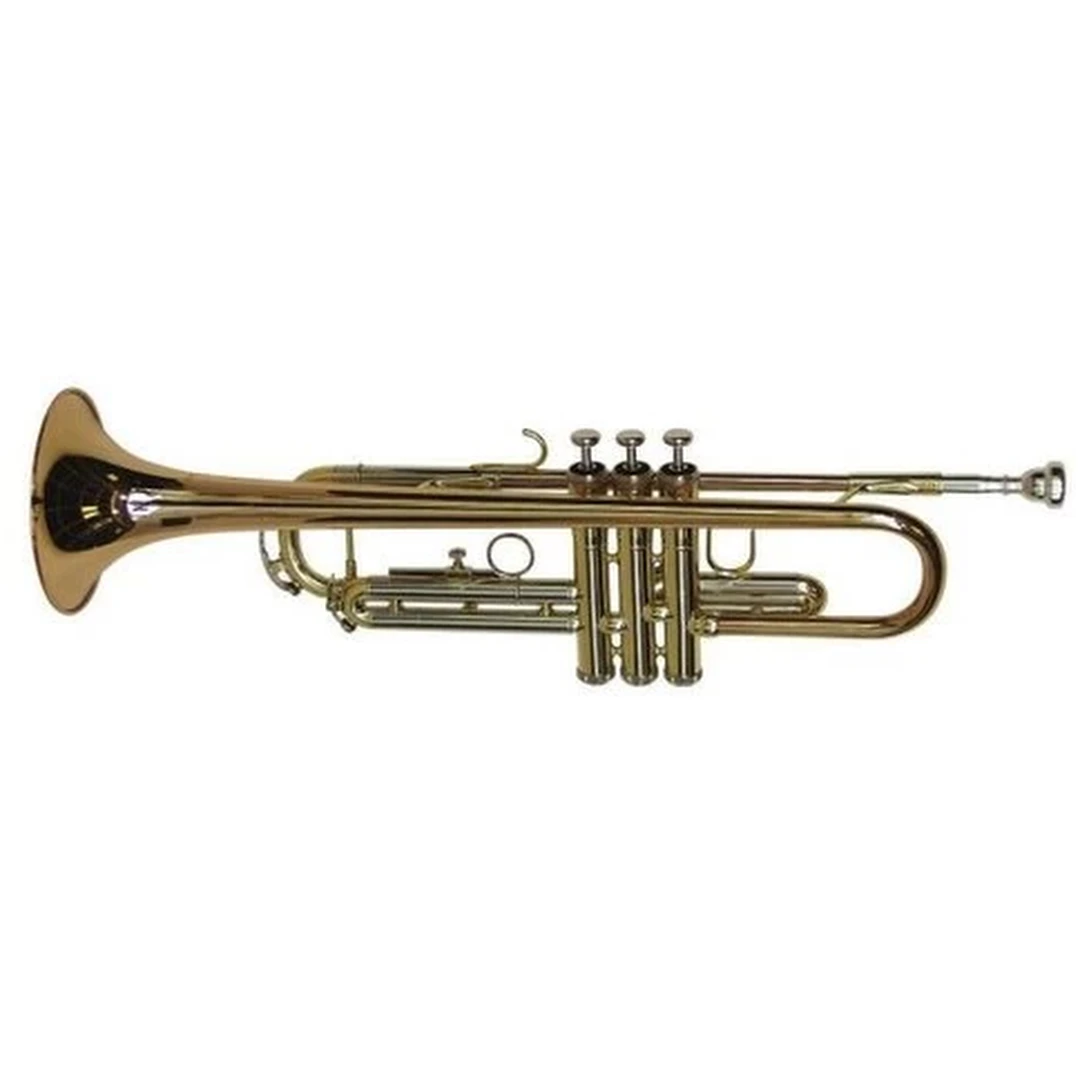 Труба Dimavery TP-30