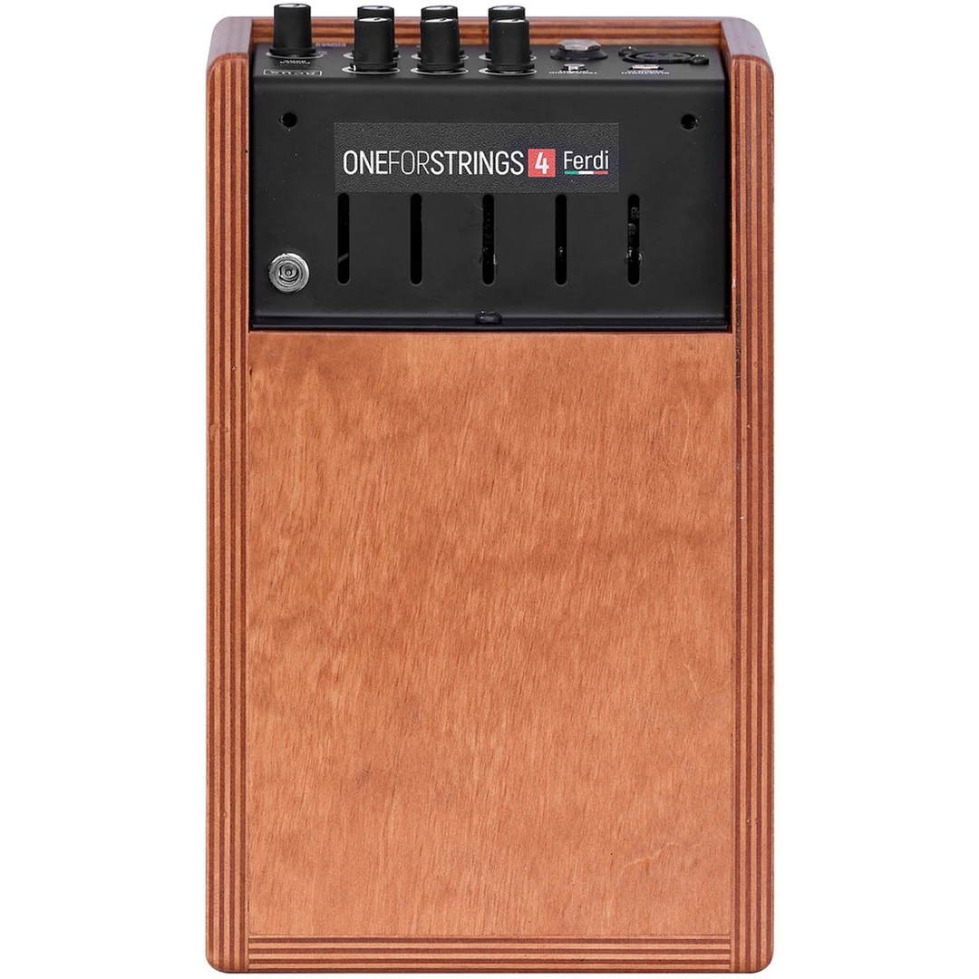 Комбоусилитель Acus One ForStrings 4 Ferdi Cherrywood