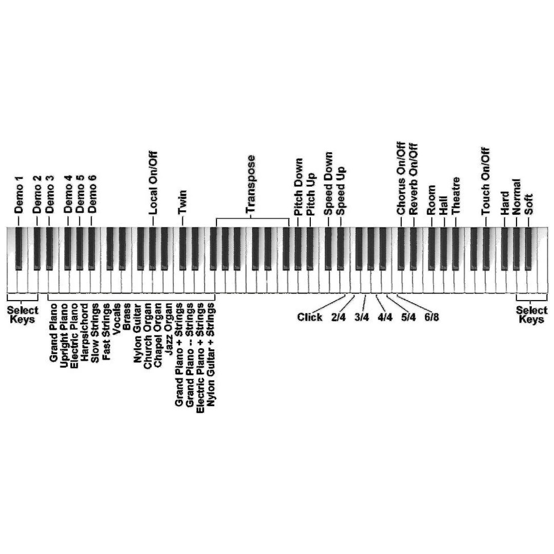 Цифровое пианино Orla Stage Starter