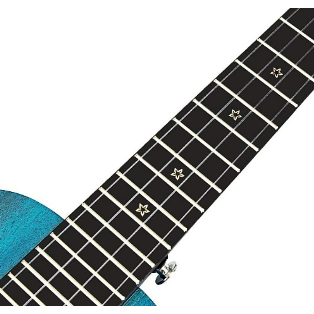 Укулеле Enya EUC-25D/BL