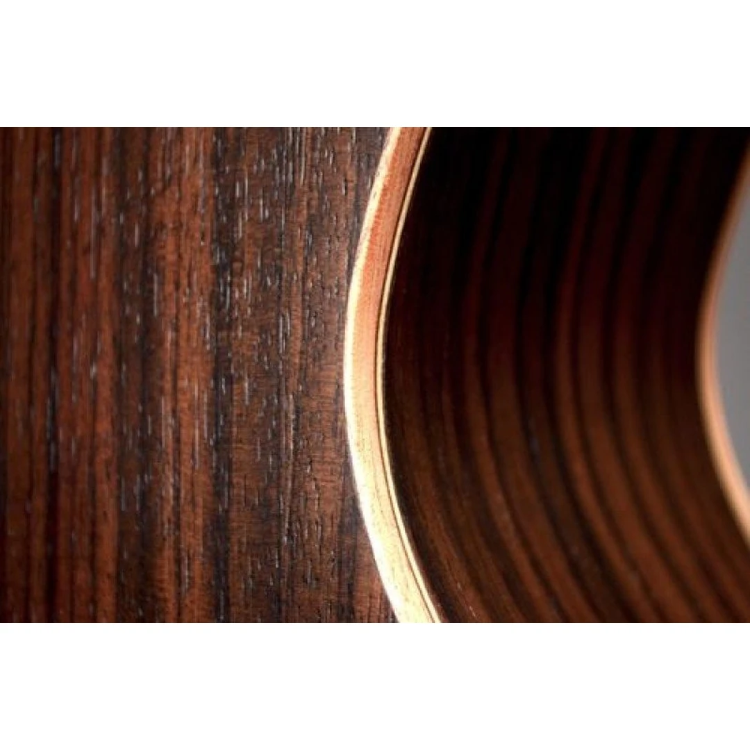 Акустическая гитара Dowina Danubius GAC