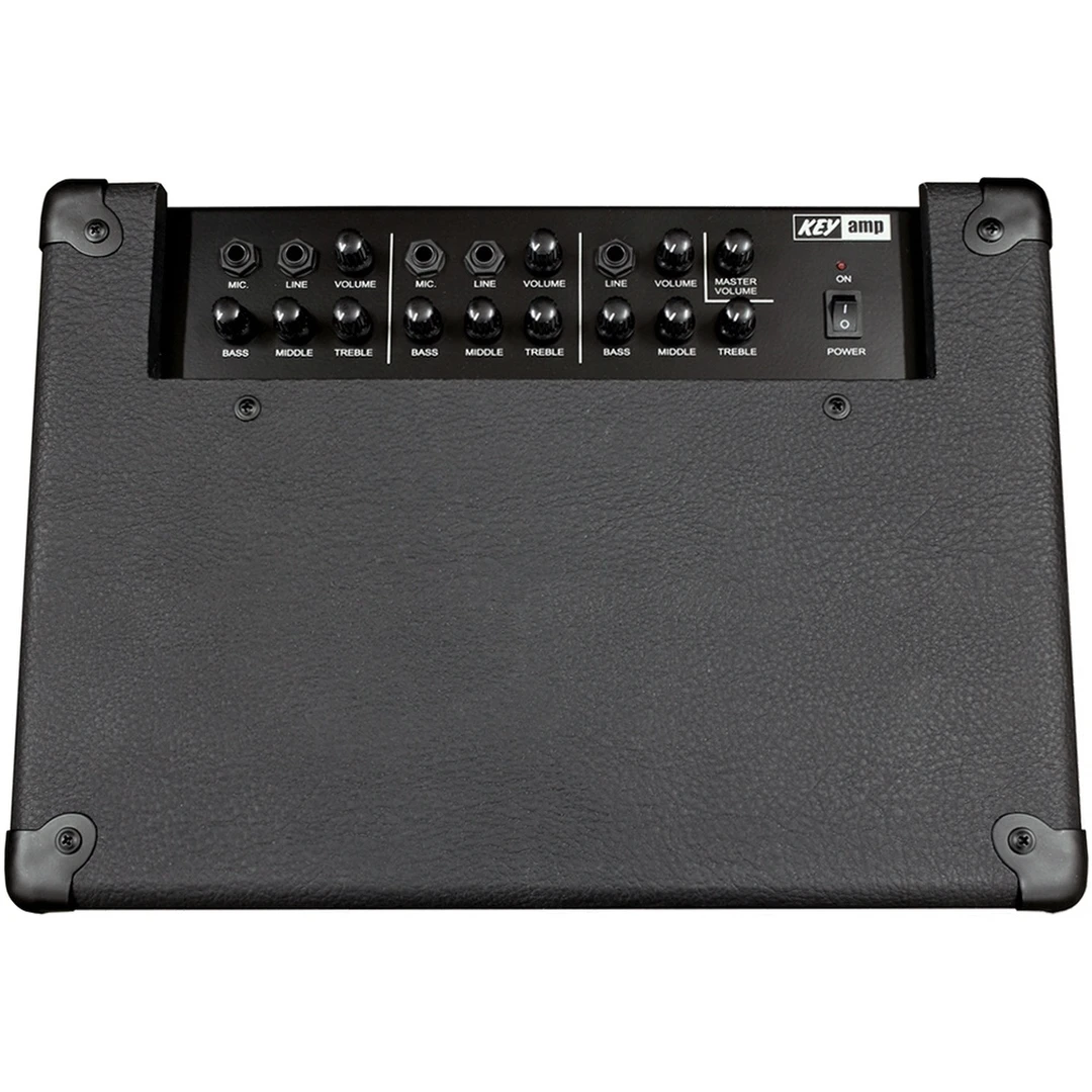 Комбоусилитель Yerasov KEYamp R3