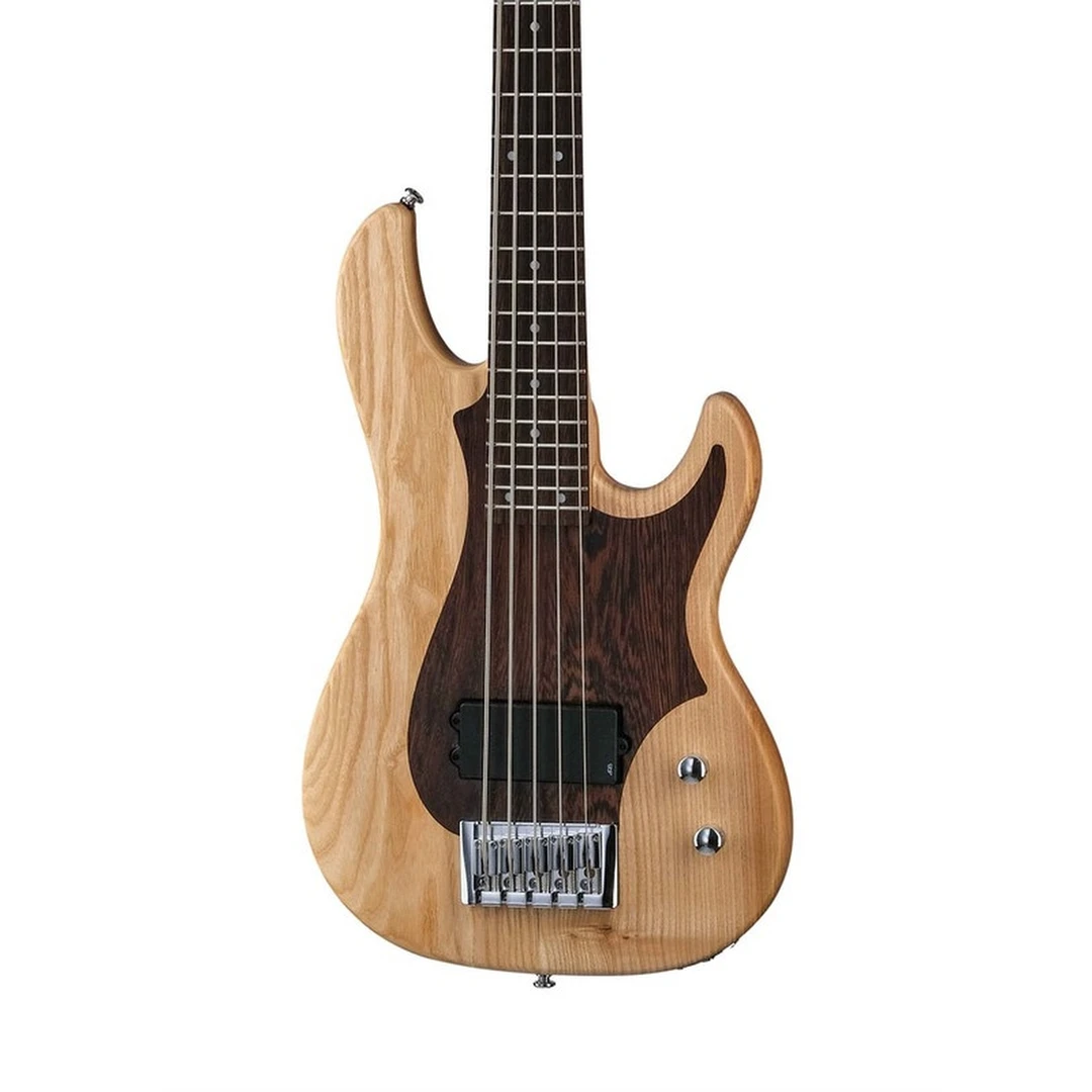 Бас-гитара Inspector Basstion