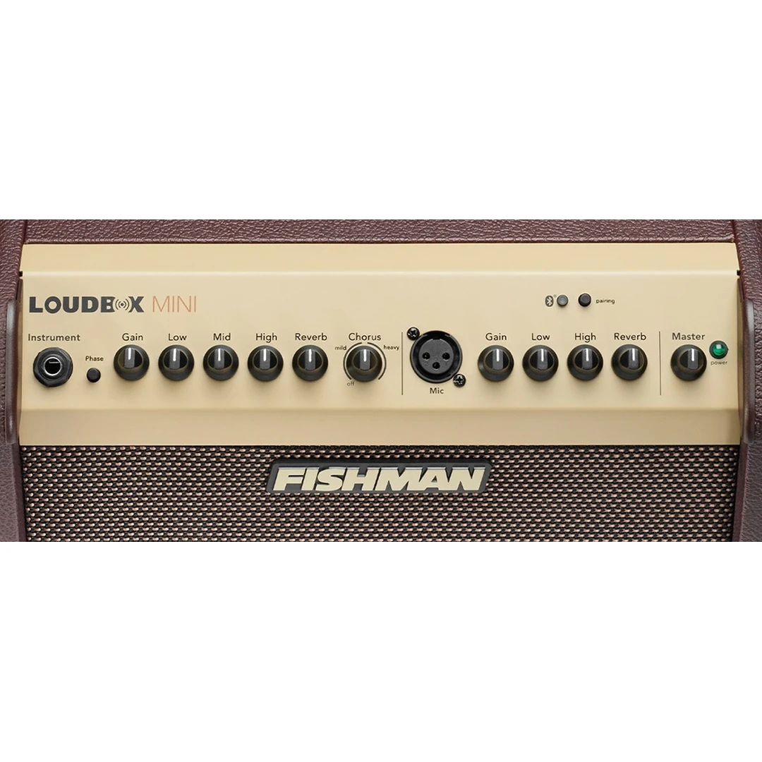 Комбоусилитель Fishman PRO-LBT-EU5 Loudbox Mini