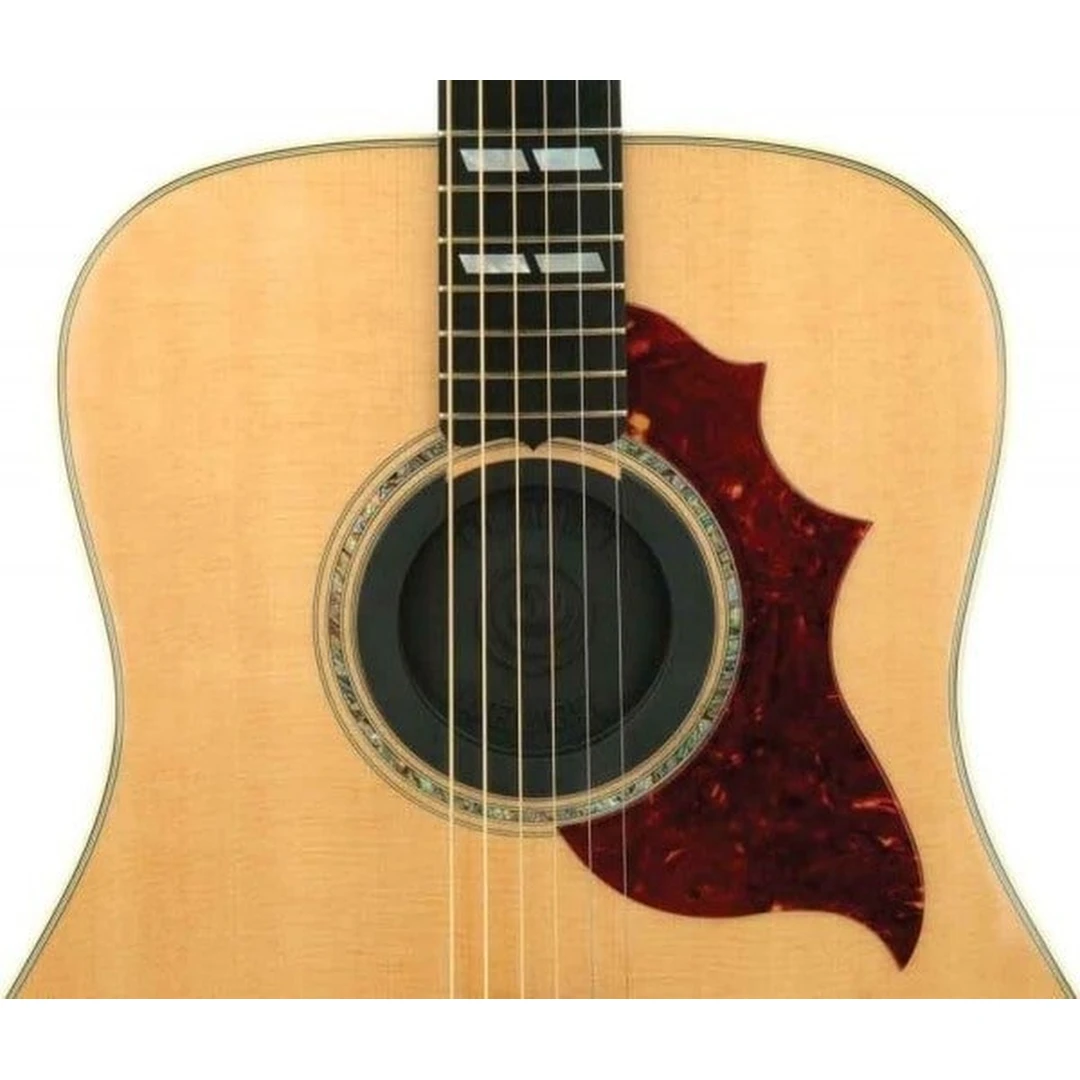 Заглушка для гитары Planet Waves PW-SH-01