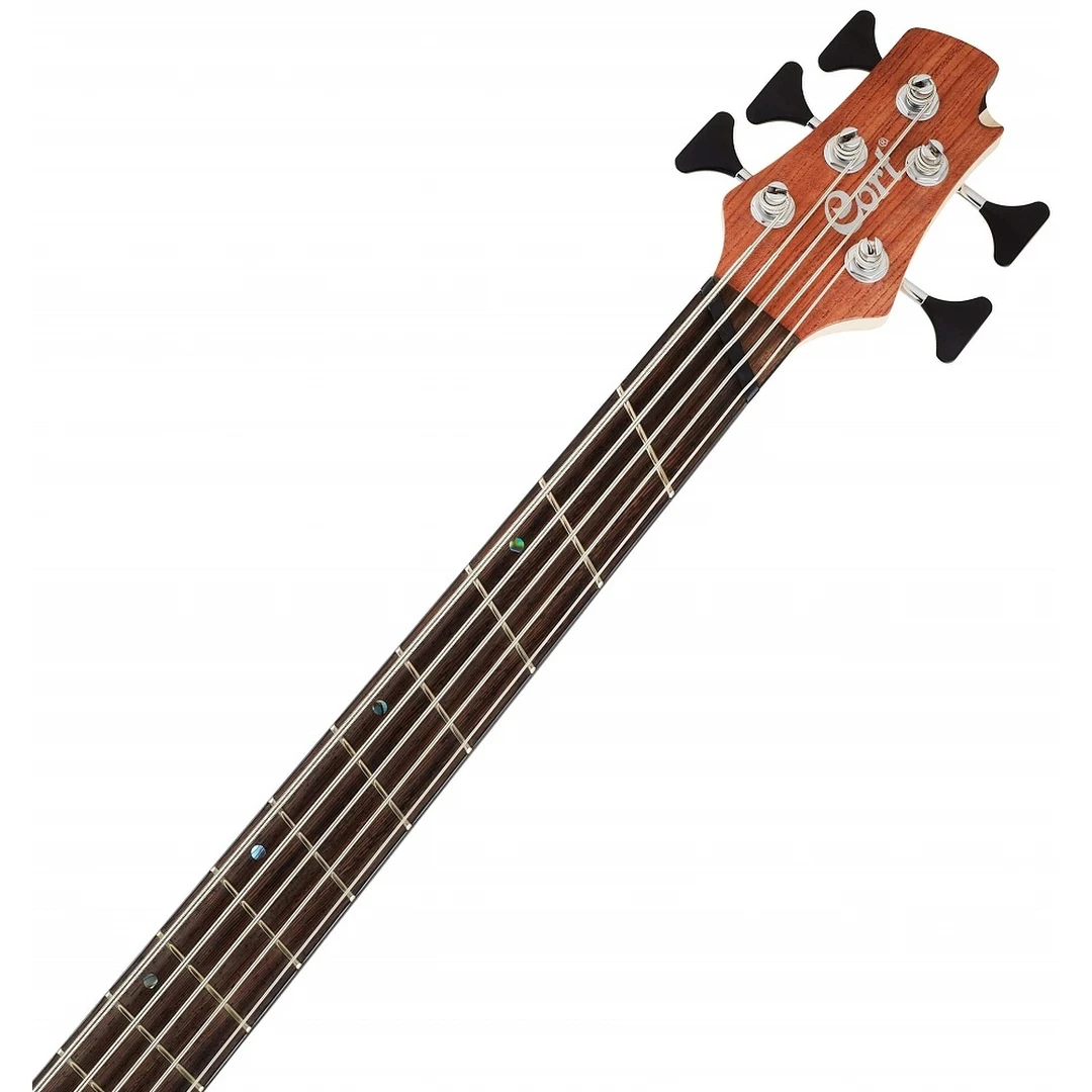 Бас-гитара Cort Artisan A5 Beyond WCASE OPBN