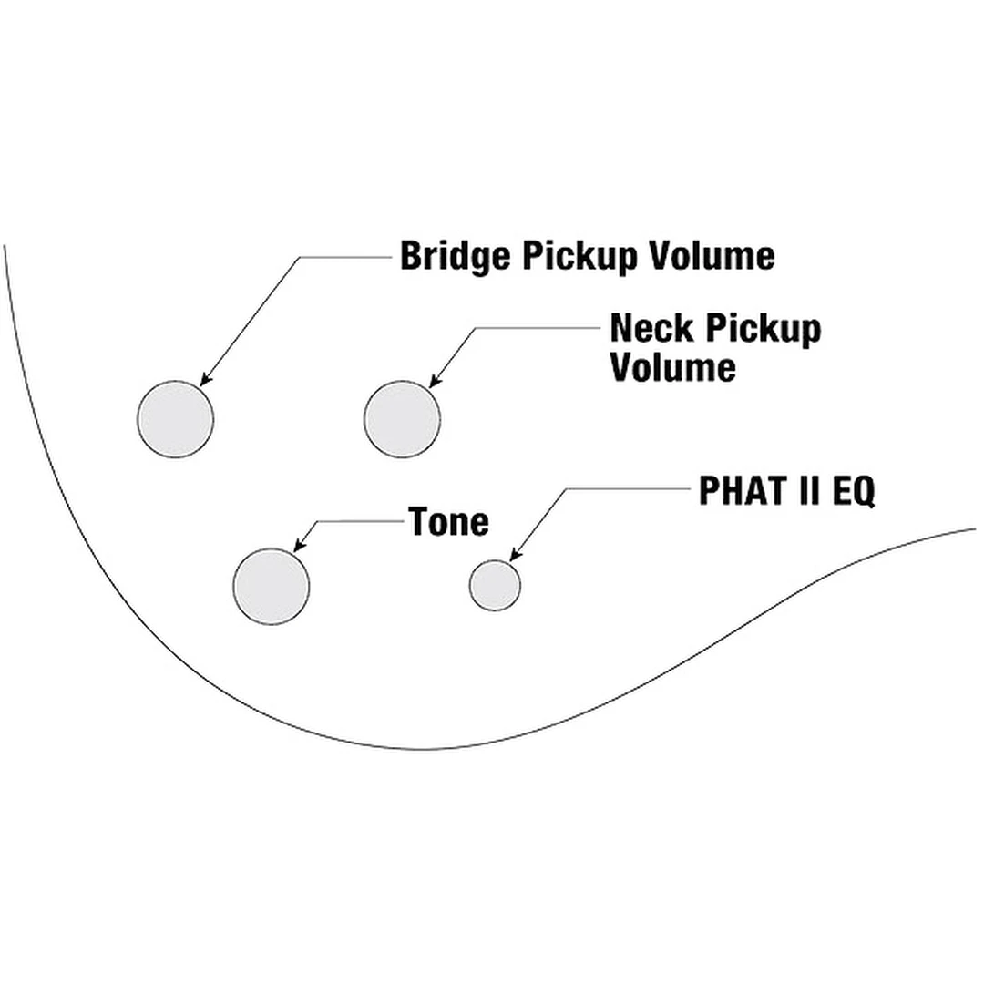 Бас-гитара Ibanez GSR200SM-NGT