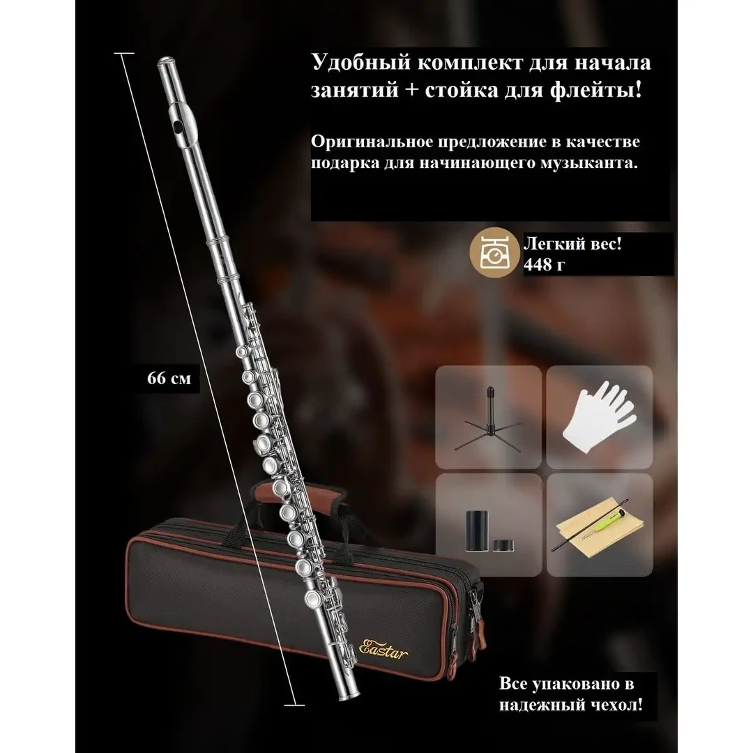 Флейта Eastar EFL-1 / EB015