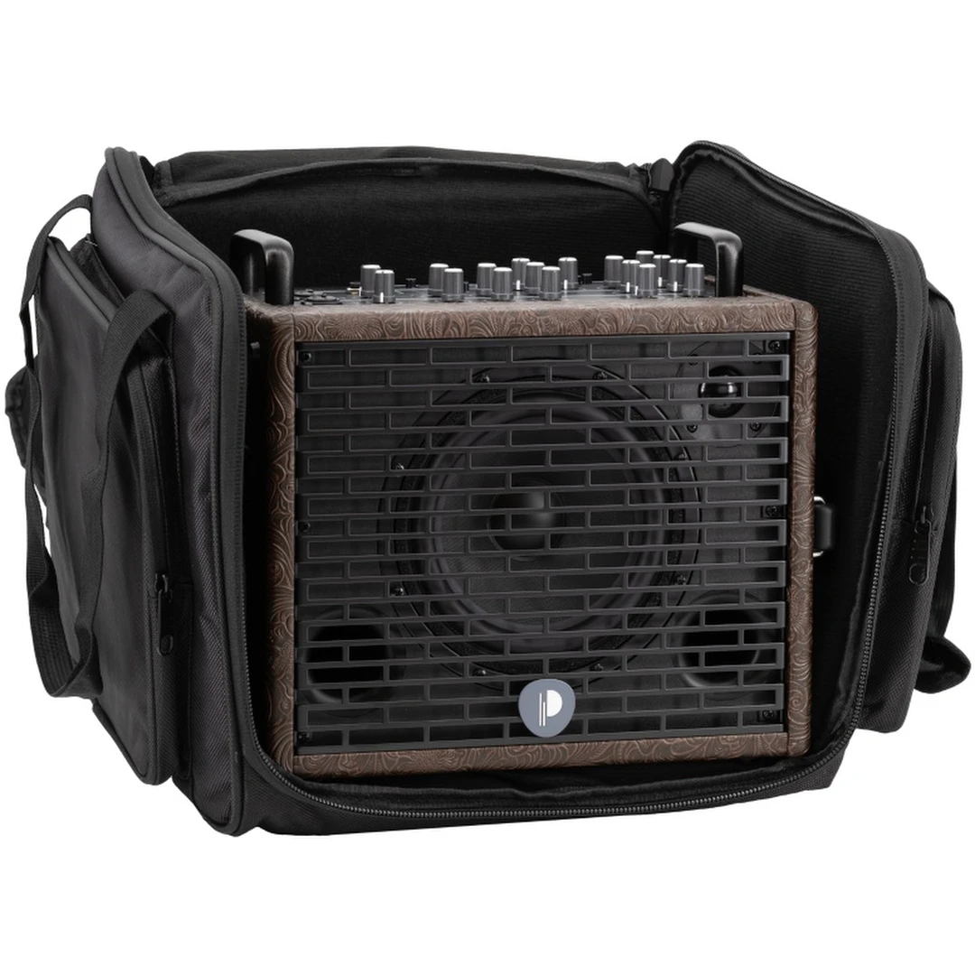 Комбоусилитель Prodipe Traveler 6