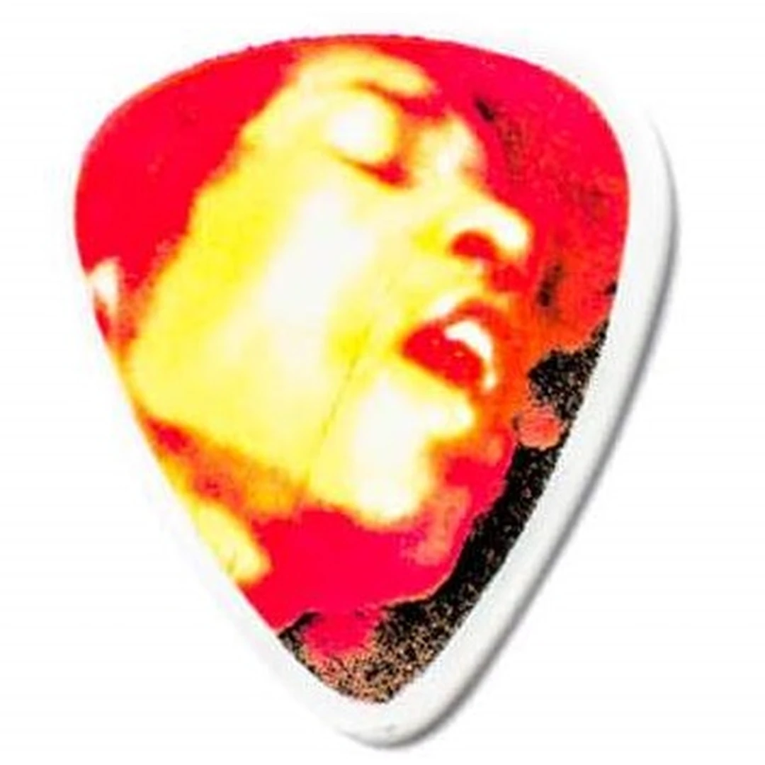 Медиатор Dunlop JHR03H Jimi Hendrix Electric Ladyland