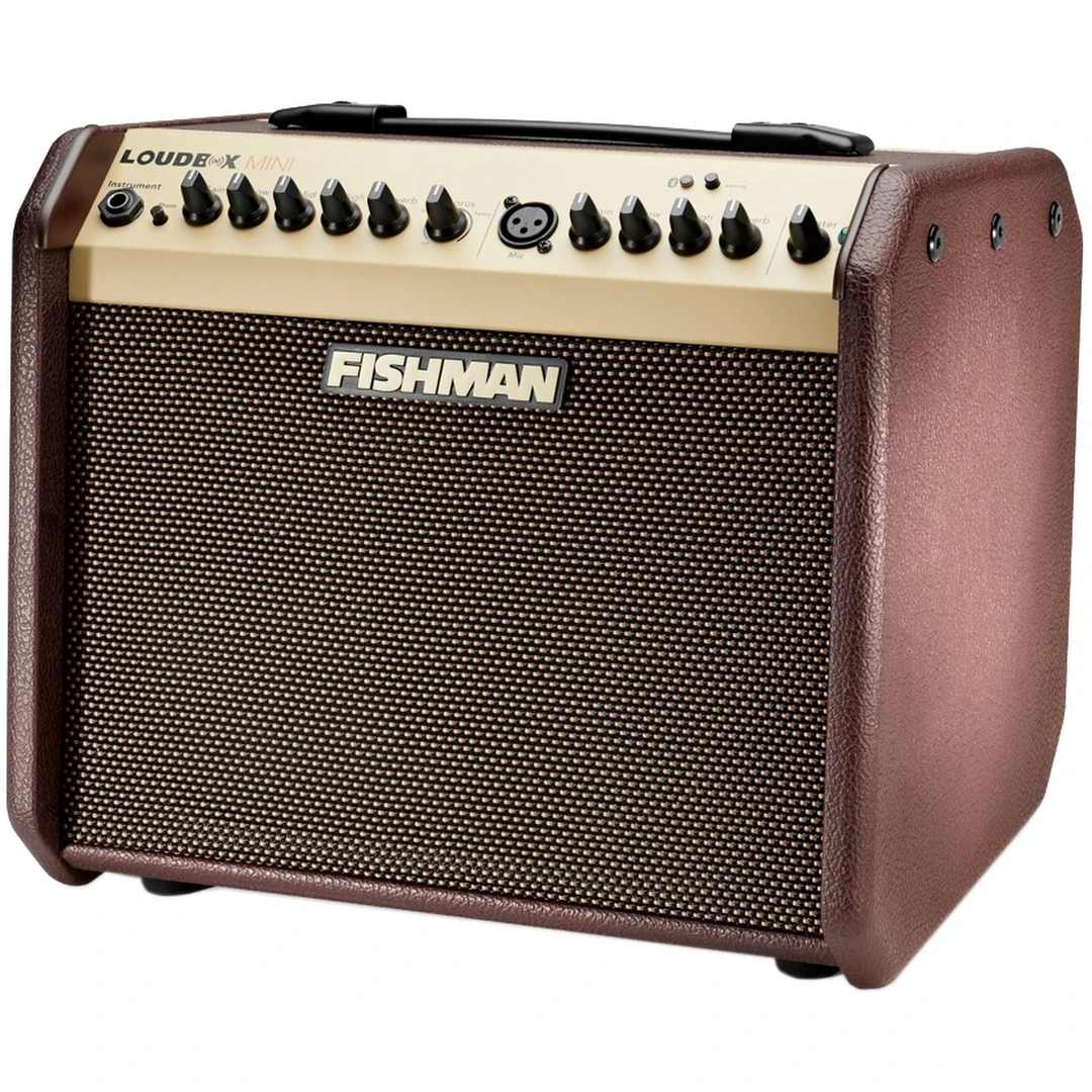 Комбоусилитель Fishman PRO-LBT-EU5 Loudbox Mini