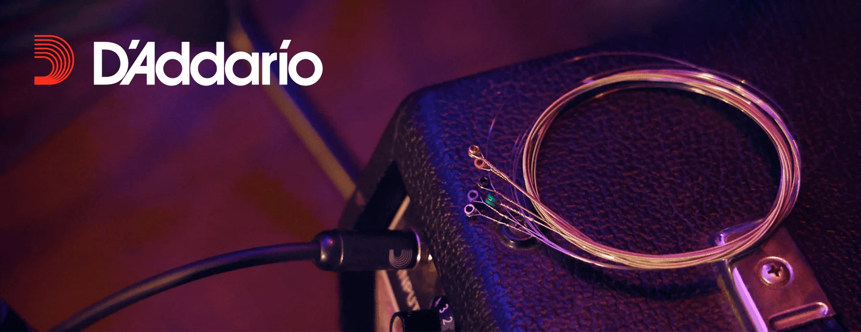 Баннер Долгая дорога к имени: История D’Addario